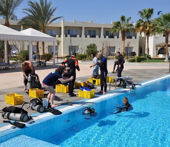 Safir Sharm Waterfalls: Kurs podstawowy PADI OWD + 7 nocy w hotelu All Inclusive 's photos